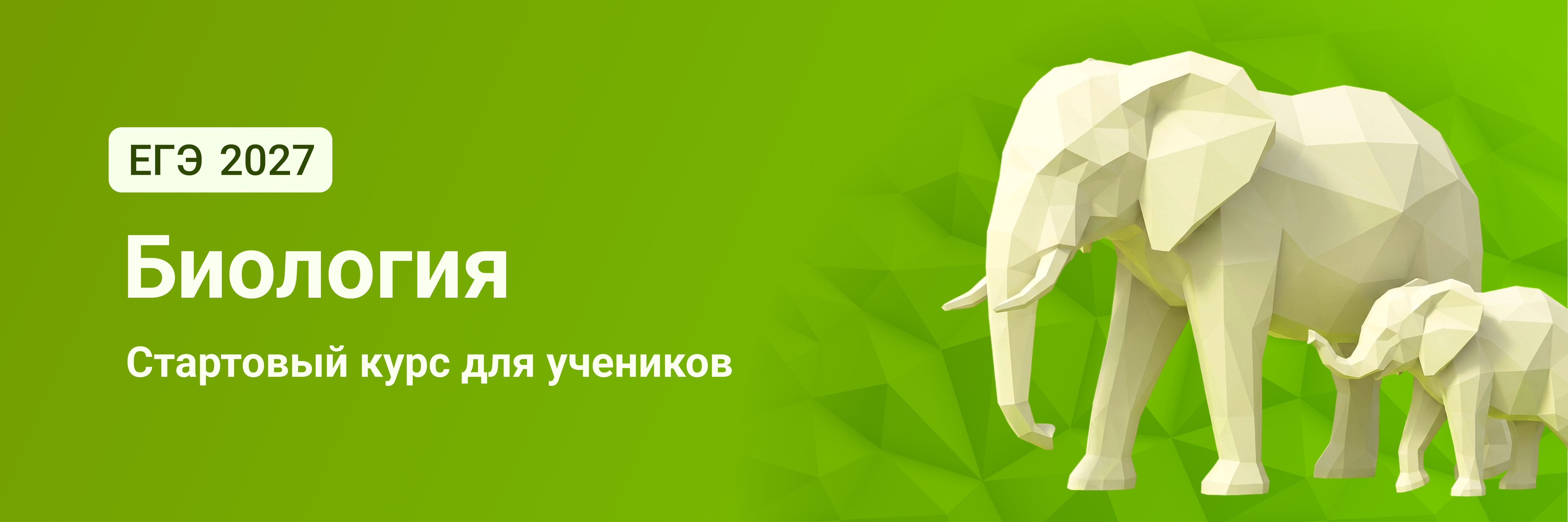 Баннер
